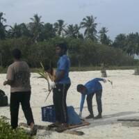 school kids cleaning a beach