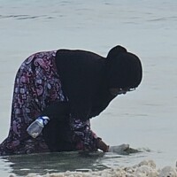 old lady cleaning the ocean