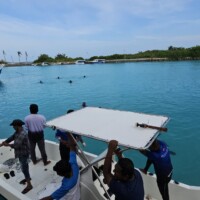 people on a speedboat