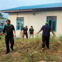 many men picking grass
