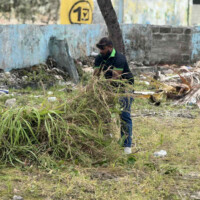 black guy pulling a huge chunk of grass and land together