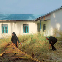 woman carrying a large coconut palm leaf