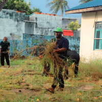 man carrying a large set of grass