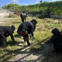 people working at a grass field