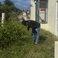 man with scissor chopping bush