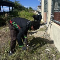 young man pulling grass