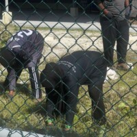 females collecting grass