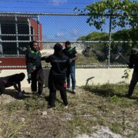 people cleaning, discussing and digging