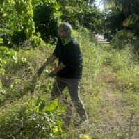 strong man pulling large vine with grass