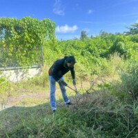 men with large scissor cutting grass