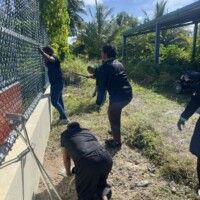 team of men cutting vine and cleaning ground