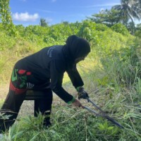 woman cutting grass with a large scissors