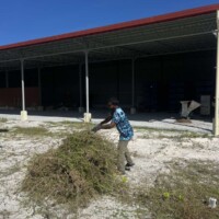 man gathering huge pile of grass