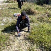 lady squat and pulling grass