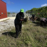 man with a hat holding grass