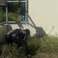 man pulling grass from a field