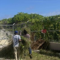 carrying grass to waste management area