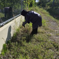 Woman cleaning grass