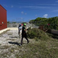 man walking towards large pile of grass