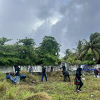 people working on a field