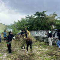 people at a grass field