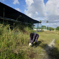 Woman pulling something off the ground
