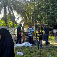 Man gathering grass to a truck