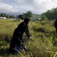 woman trying to pull something from inside a grass field