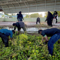 group of people gathered and cleaning a field