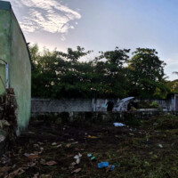 a semi cleaned grass field