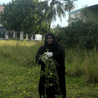 Old lady carrying vines